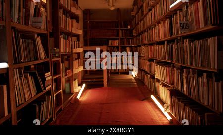 Biblioteca notturna con luci lampeggianti. Riproduci filmati. Corridoio con scaffali nella biblioteca notturna. Luci lampeggianti nella corsia tra scaffali della notte Foto Stock