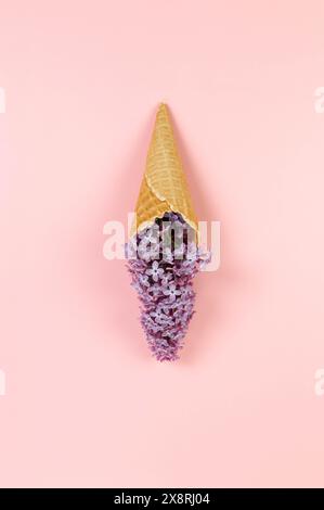 Vista dall'alto dei fiori lilla viola su sfondo rosa. Cono per waffle con gelato creativo. Carta da parati primavera ed estate, disposizione piatta, spazio per copie. Foto Stock