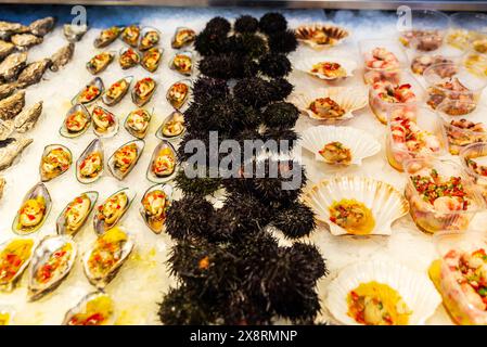 Ostriche fresche, ricci di mare viola, capesante variegato o capesante nero e cozze in un negozio di pesce gourmet nel mercato di Bolhao, mercato di cibo di strada a Porto Foto Stock