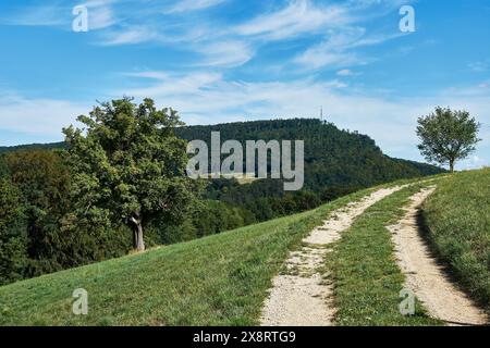 Eggflue, Pfeffingerfluh, Pfeffingen, Nenzlingen, Svizzera, Baselland, Baselbiet, Birseck, Laufental, Svizzera Foto Stock