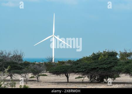 Sir Bani Yas, Emirati Arabi Uniti - 5 gennaio 2024: Una turbina eolica si erge a Sir Bani Yas, Emirati Arabi Uniti, un faro di energia sostenibile nell'abbraccio del deserto. Foto Stock