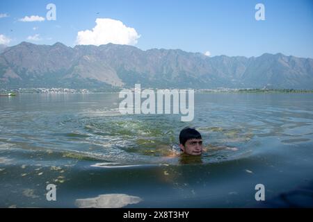 27 maggio 2024, Srinagar, Jammu e Kashmir, India: Un giovane ragazzo si sta facendo un bagno nel lago dal per cercare sollievo dal caldo in una calda giornata estiva a Srinagar. Lunedì l'IMD ha emesso un "allarme rosso" per un'ondata di caldo nell'India settentrionale, mentre un "allarme giallo" è stato emesso per le condizioni delle ondate di calore in Jammu e Kashmir, Ladakh, Gilgit-Baltistan, Muzaffarabad, Maharashtra, Himachal Pradesh, Uttarakhand e Uttar Pradesh orientale. (Immagine di credito: © Adil Abass/ZUMA Press Wire) SOLO PER USO EDITORIALE! Non per USO commerciale! Foto Stock