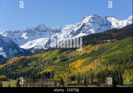 Colori autunnali di strada 7, gamma Sneffle (fondo), nei pressi di Ouray, Colorado, STATI UNITI D'AMERICA Foto Stock