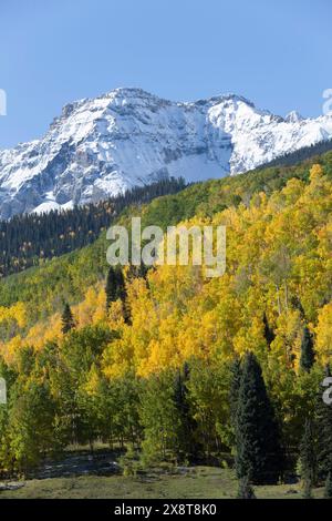 Colori autunnali di strada 7, gamma Sneffle (fondo), nei pressi di Ouray, Colorado, STATI UNITI D'AMERICA Foto Stock