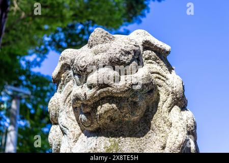 Komainu, o cane da leone (arte pubblica) al santuario di Hachiman, Giappone. I komainu sono i guardiani dei santuari shintoisti e talvolta dei templi, di solito in coppia, uno Foto Stock