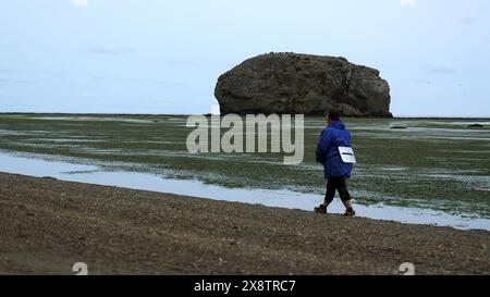 I turisti camminano sulla spiaggia con le alghe. Fermo. L'uomo cammina lungo la riva dopo la tempesta in un giorno nuvoloso. Il bambino con ombrello cammina sulla costa in giornata nuvolosa Foto Stock