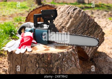 Sega e guanti su tronchi di legno nelle giornate di sole Foto Stock