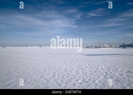 Paesaggio innevato in Baviera con pali di elettricità che conducono attraverso Foto Stock