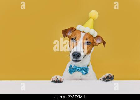Divertente cane ridendo Jack Russel terrier che indossa un cappello da festa e una cravatta per festeggiare una festa di compleanno, guardando sul tavolo, sfondo giallo Foto Stock