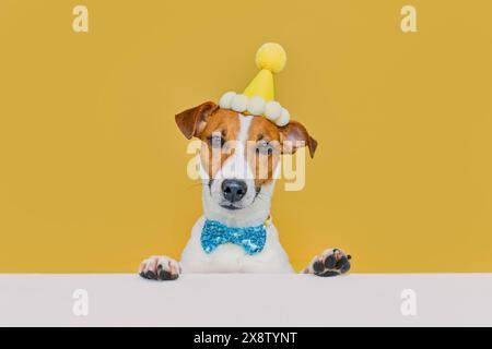 Divertente cane ridendo Jack Russel terrier che indossa un cappello da festa e una cravatta per festeggiare una festa di compleanno, guardando sul tavolo, sfondo giallo Foto Stock