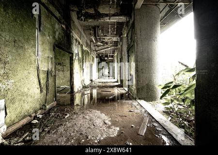 L'interno delle rovine abbandonate del Monte Palace Hotel a Vista do Rei sull'isola delle Azzorre di Sao Miguel. Abbandonata dai 1990s.Lost Place Foto Stock