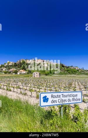 Tipico vigneto con strada del vino (Route Touristique des Cotes du Rhone) vicino a Faucon, Cotes du Rhone, Francia Foto Stock