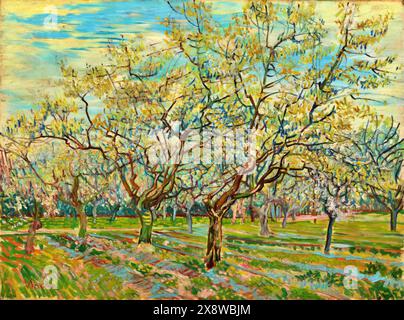 The White Orchard, 1888 (Pittura) artista Gogh, Vincent van (1853-90) olandese. Illustrazione Vettoriale