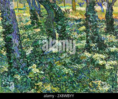 Undergrowth, 1889 (Pittura) artista Gogh, Vincent van (1853-90) olandese. Illustrazione Vettoriale