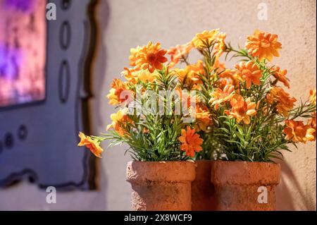 Fiori d'arancio, come quelli visti nel film Coco, piantati in vasi d'argilla fatti a mano Foto Stock