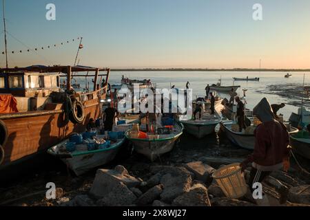 Foto di persone irachene che fanno shopping nel tradizionale mercato del pesce della città di bassora Foto Stock