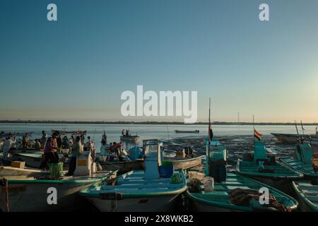 Foto di persone irachene che fanno shopping nel tradizionale mercato del pesce della città di bassora Foto Stock