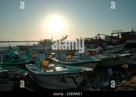 Foto di persone irachene che fanno shopping nel tradizionale mercato del pesce della città di bassora Foto Stock