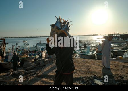 Foto di persone irachene che fanno shopping nel tradizionale mercato del pesce della città di bassora Foto Stock