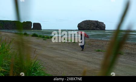 I turisti camminano sulla spiaggia con le alghe. Fermo. L'uomo cammina lungo la riva dopo la tempesta in un giorno nuvoloso. Il bambino con ombrello cammina sulla costa in giornata nuvolosa Foto Stock