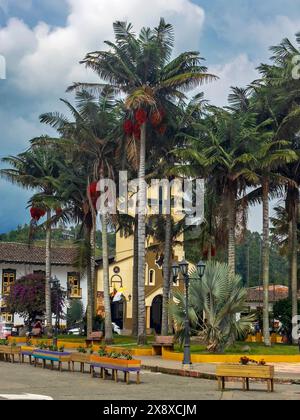 Palme di cera Quindio (Ceroxylon quindiuense) la più alta del mondo e la chiesa cattolica Nuestro Carmen Senora o nostra Signora di Carmen sulla piazza principale Foto Stock