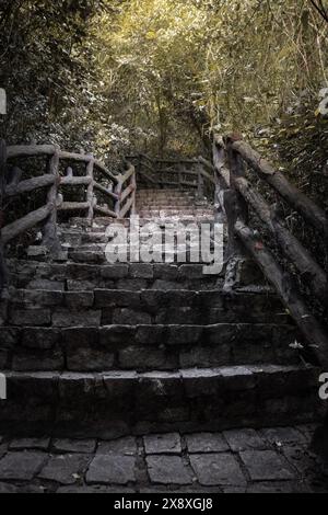 La pietra scalata sale la montagna con gli alberi lungo la strada. Scalinata in pietra, arrampicata turistica, sentiero escursionistico. Foto Stock