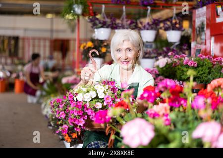 Vecchia venditrice che tiene calibrachoa in vasi di fiori nel mercato delle piante all'aperto Foto Stock