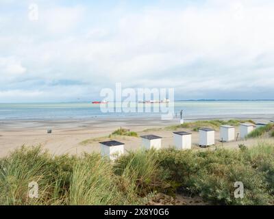 Zeeland, Paesi Bassi - 2 agosto 2023: Bellissima spiaggia con dune di sabbia davanti alle navi di contenimento Foto Stock