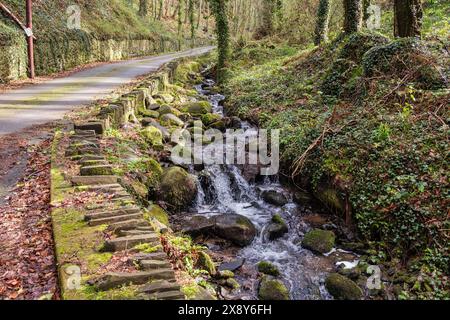 Ruscello che scorre lungo una corsia di campagna vicino a Bangor, Gwynedd, Galles del nord, Regno Unito, Gran Bretagna Foto Stock