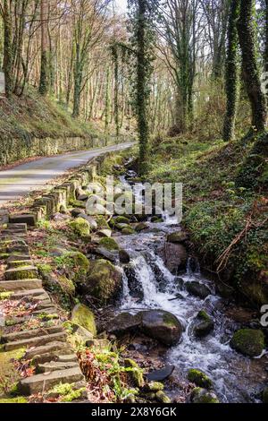 Ruscello che scorre lungo una corsia di campagna vicino a Bangor, Gwynedd, Galles del nord, Regno Unito, Gran Bretagna Foto Stock