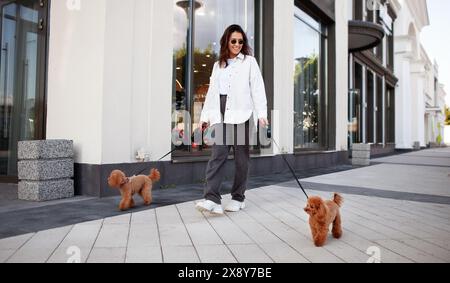 Una donna elegante cammina lungo la strada della città con due cani piccoli al guinzaglio. Stile di vita urbano con graziose barboncini in miniatura, una donna alla moda che si diverte con un animale domestico Foto Stock