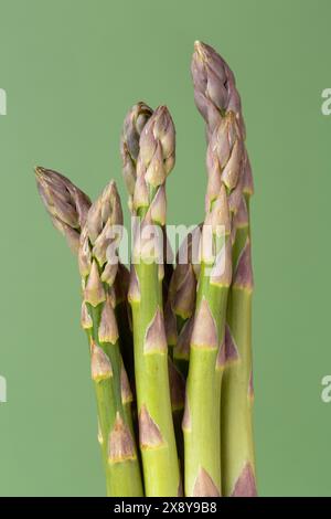 Punte di asparagi verdi su sfondo verde Foto Stock