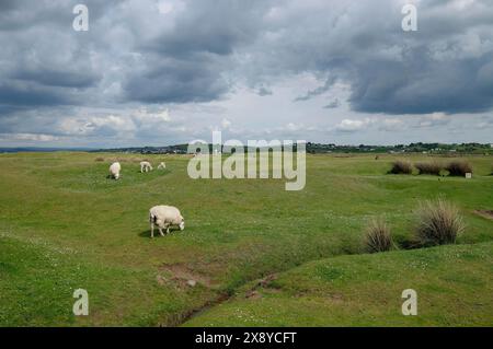 campo da golf northam burrows country park, a nord di devon, inghilterra Foto Stock