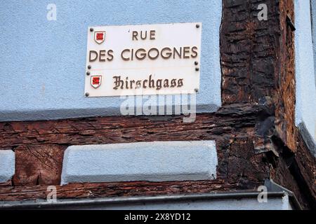 Francia, Haut Rhin, Turckheim, Rue des Cigognes, panel Foto Stock