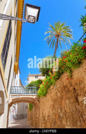 Spagna, Isole Baleari, Maiorca, Palma di Maiorca, bagni arabi esterni Foto Stock