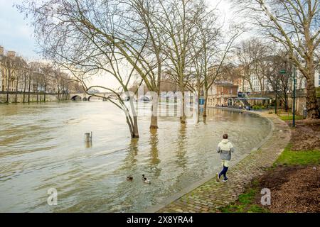 Francia, Parigi, le rive della Senna, patrimonio mondiale dell'UNESCO, inondano il Quai Henri IV Foto Stock