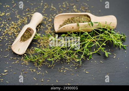 Timo da giardino, timo inglese, timo comune (Thymus vulgaris), foglie di timo essiccate e tritate con pale di legno Foto Stock