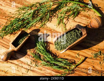 Aneto (Anethum graveolens var. hortorum), erbe essiccate e tritate su pale di legno Foto Stock