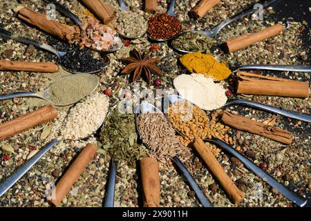 varie spezie su cucchiai di legno, con anice stellato, bastoncini di cannella e curry Foto Stock