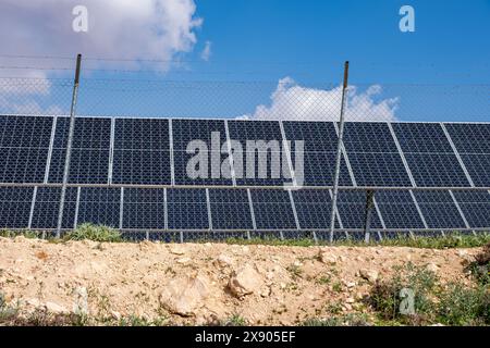 I moduli fotovoltaici a terra sono costruiti e protetti da recinzioni di animali e persone Foto Stock