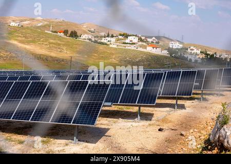 I moduli fotovoltaici a terra sono costruiti e protetti da recinzioni di animali e persone Foto Stock