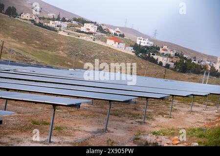 I moduli fotovoltaici a terra sono costruiti e protetti da recinzioni di animali e persone Foto Stock