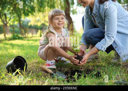 Madre e sua figlia piantano insieme un albero in giardino Foto Stock