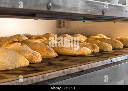 Molti panini di pane cotti nel forno Foto Stock