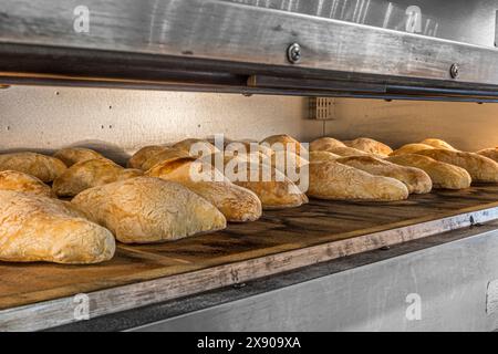 Molti panini di pane cotti nel forno Foto Stock