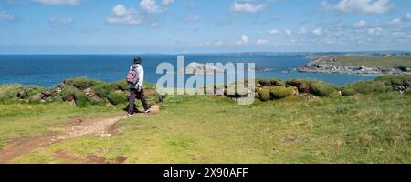 Un'immagine panoramica di una camminata solitaria sul South West Coast Path a Pentire Point West sulla costa di Newquay in Cornovaglia nel Regno Unito. Foto Stock