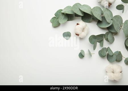 Composizione dei fiori. Fiori di cotone e rami di eucalipto su sfondo chiaro. Vista dall'alto Foto Stock