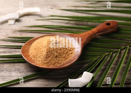 Cucchiaio con zucchero di cocco, fetta di frutta e foglie di palma su un tavolo di legno, primo piano Foto Stock