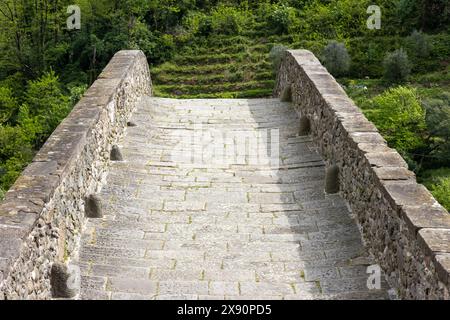 Il famoso Ponte del Diavolo, noto anche come Ponte delle Maddalene o Ponte della Maddalena, in provincia di Lucca in Toscana, Italia sul fiume Serchio. Foto Stock