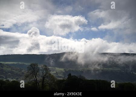 terra paludosa dell'irlanda valle nuvolosa Foto Stock